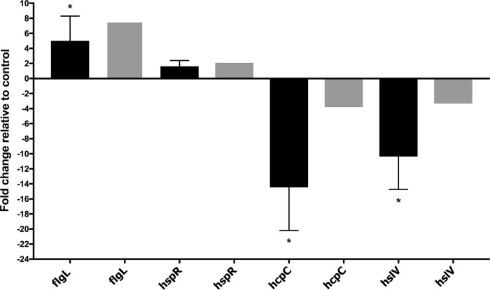 FIG 6