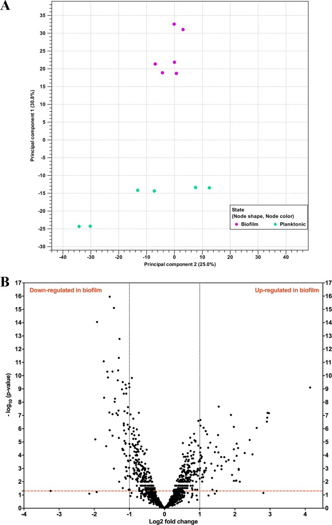 FIG 4