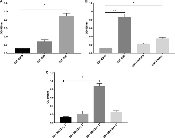 FIG 1