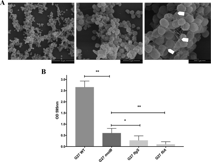 FIG 8