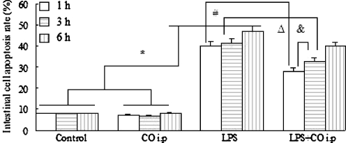 Fig. 7