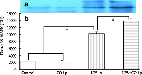 Fig. 8