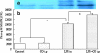 Fig. 8