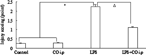 Fig. 9