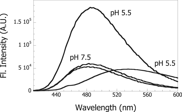 Fig. 6