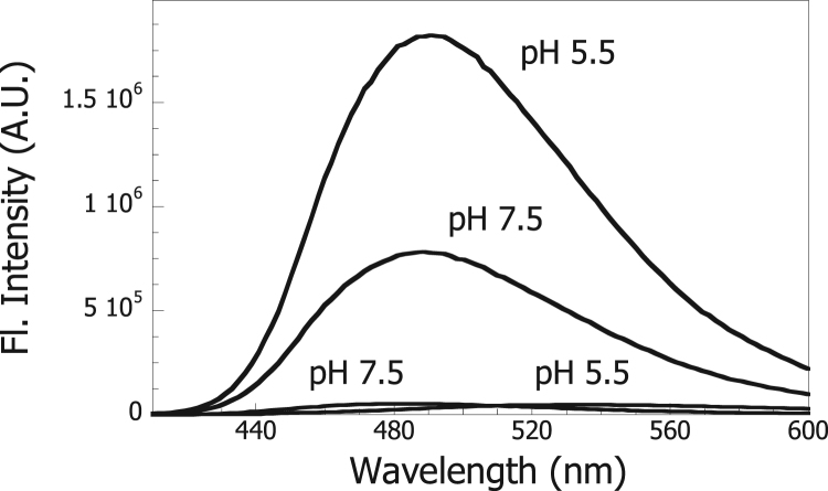 Fig. 5