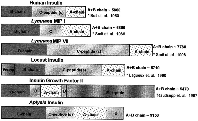 Fig. 9.