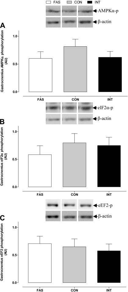 Fig. 9.