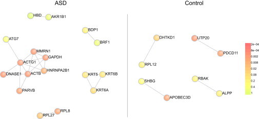 Figure 5