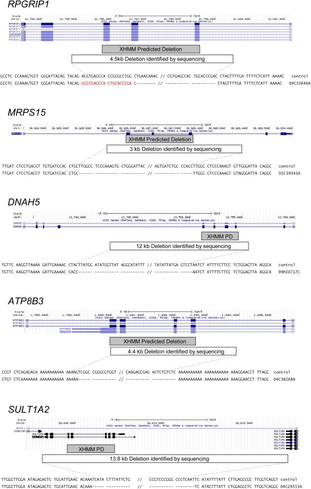 Figure 4