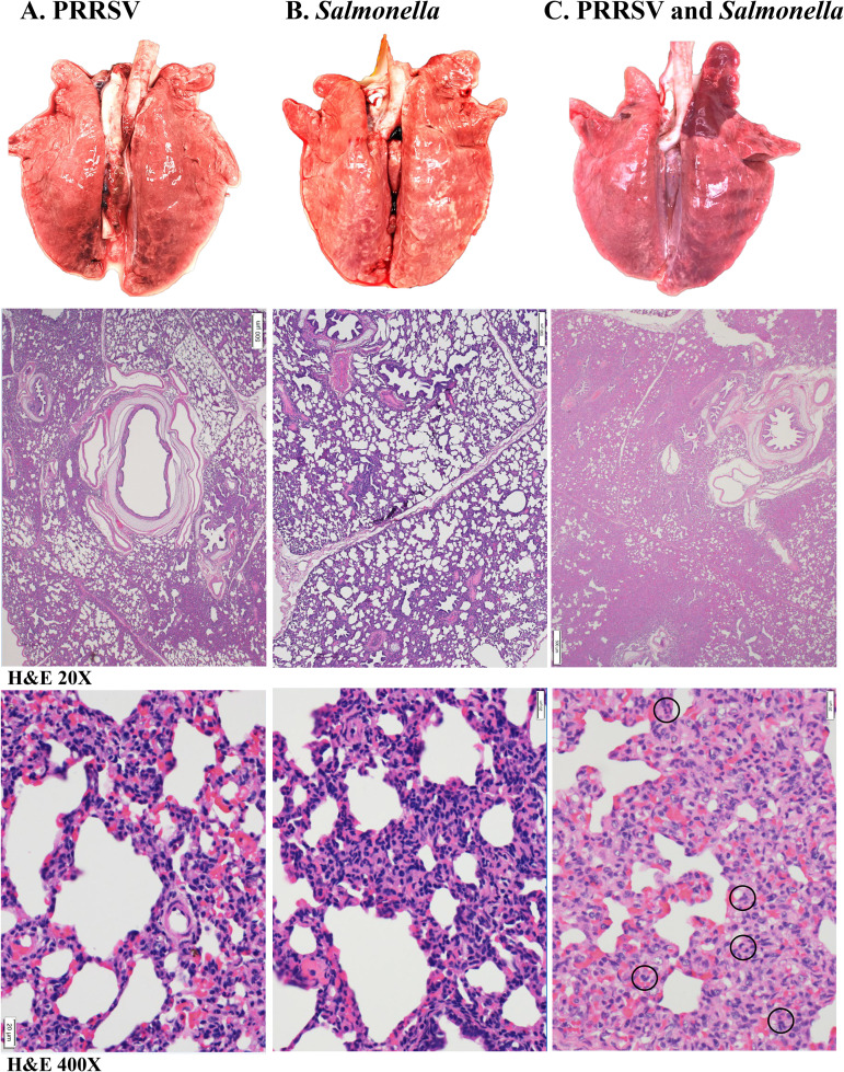 FIG 1