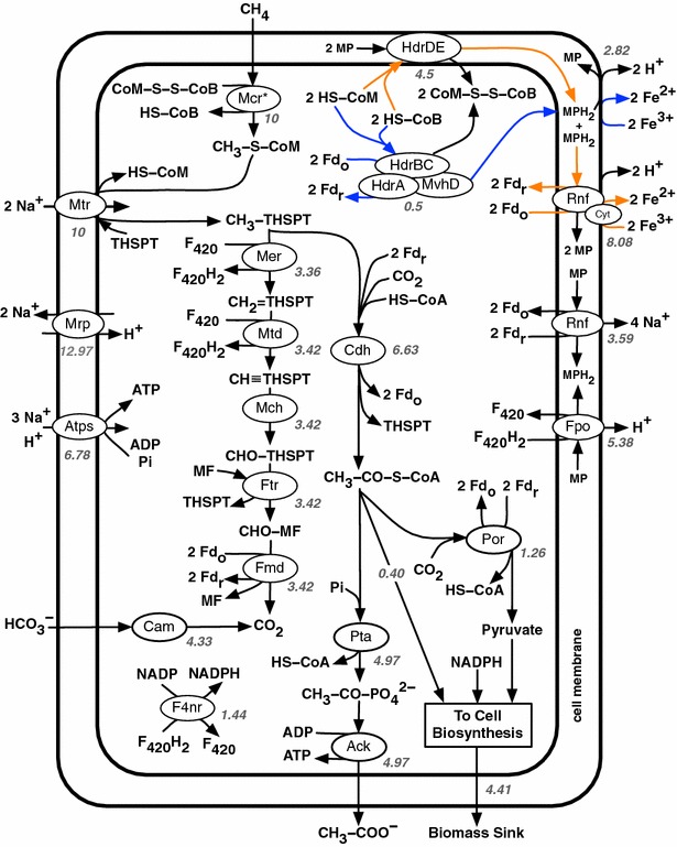 Fig. 1