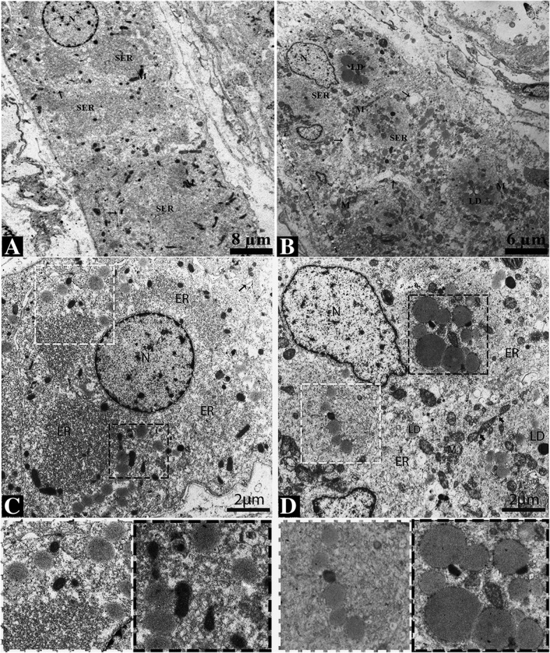 Fig. 5