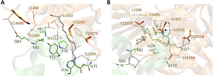 FIG 7