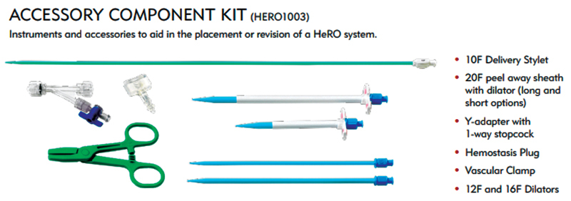 HeRO Graft: Indications, Technique, Outcomes, and Secondary ...