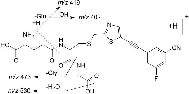 FIG. 7