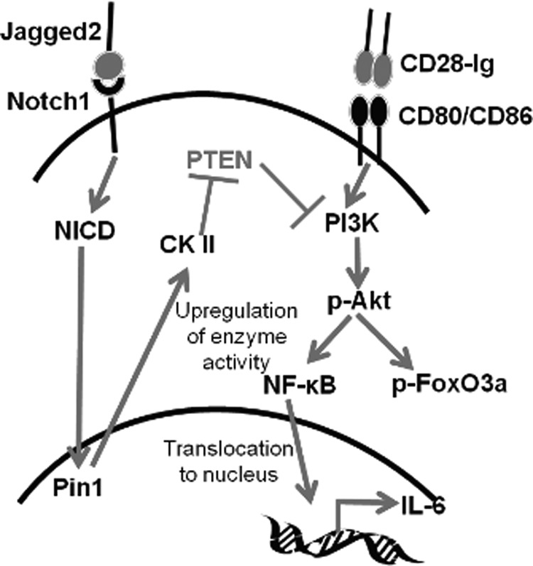 FIGURE 9.