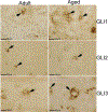 Figure 7: