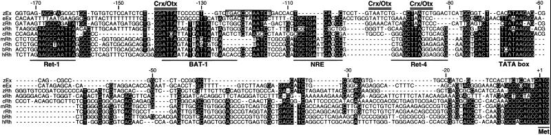 Fig 1.