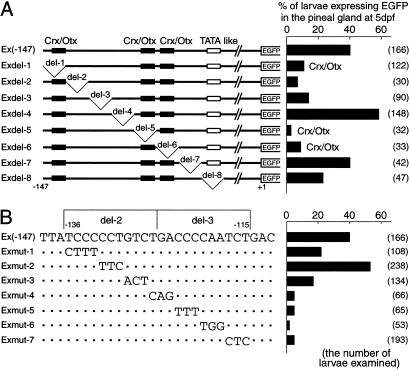 Fig 3.