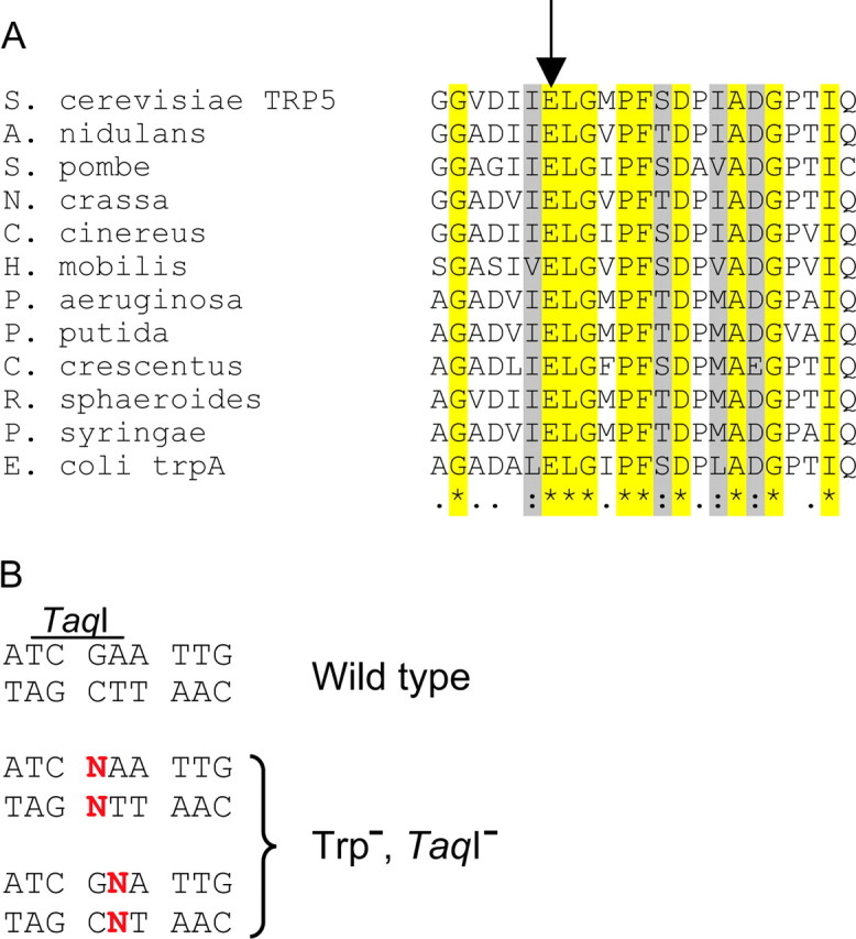 Figure 1.—