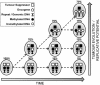 Fig. (2)