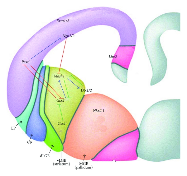 Figure 6