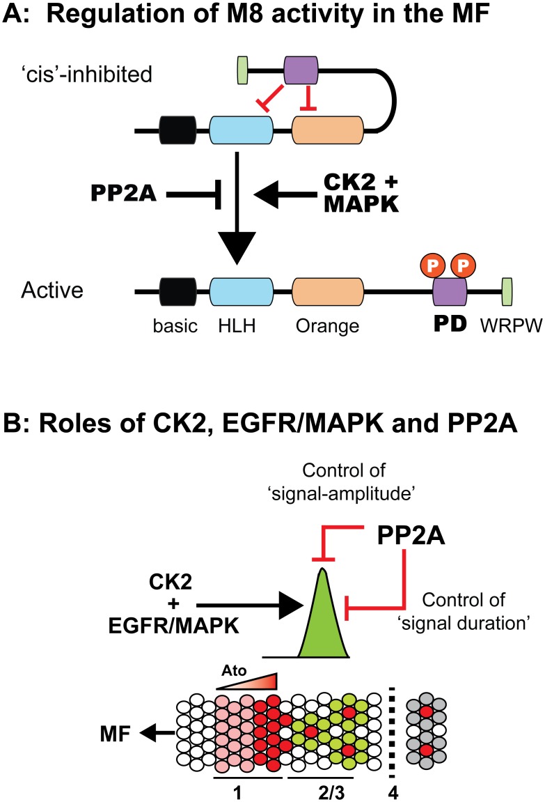 Fig 10