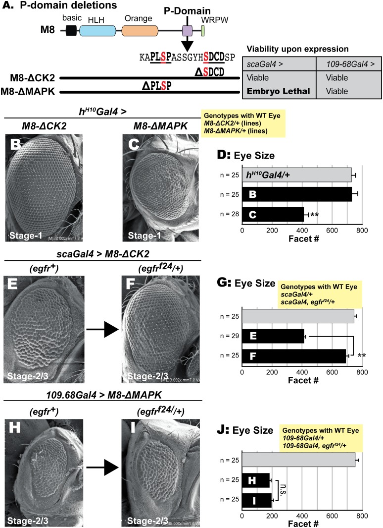 Fig 8