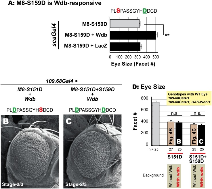 Fig 9