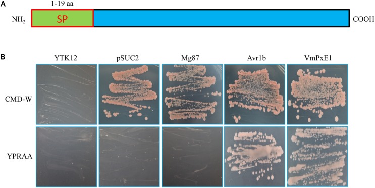 FIGURE 2