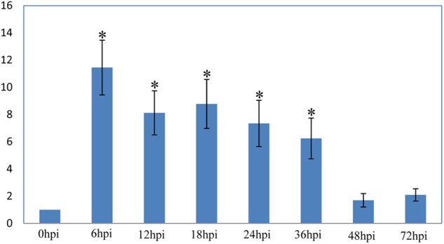 FIGURE 3