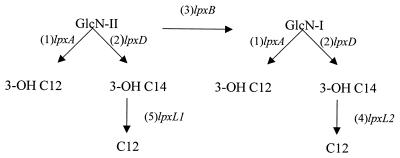 FIG. 6