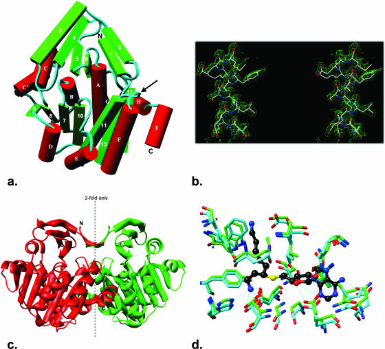 FIG. 4.