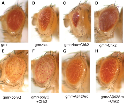 Figure 1.