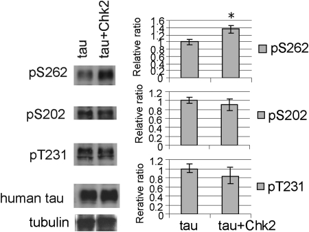 Figure 2.