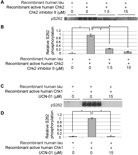 Figure 4.