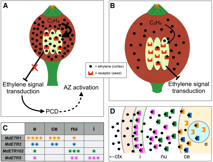 Figure 7.