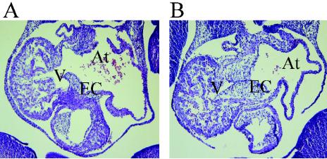 FIG. 5.