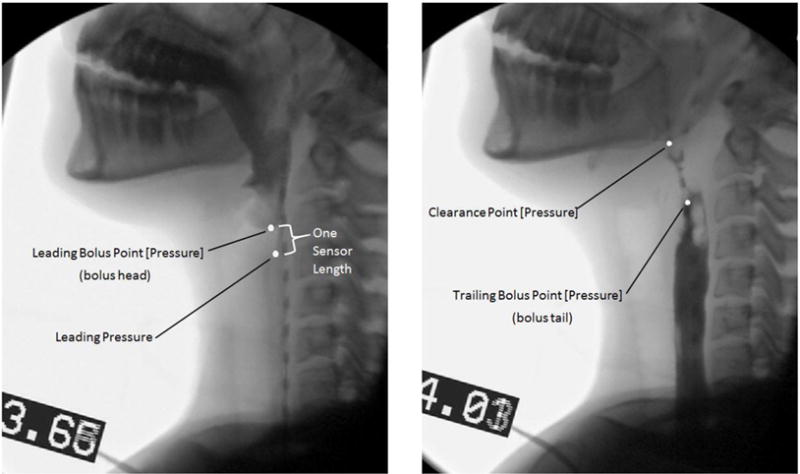 Fig. 2