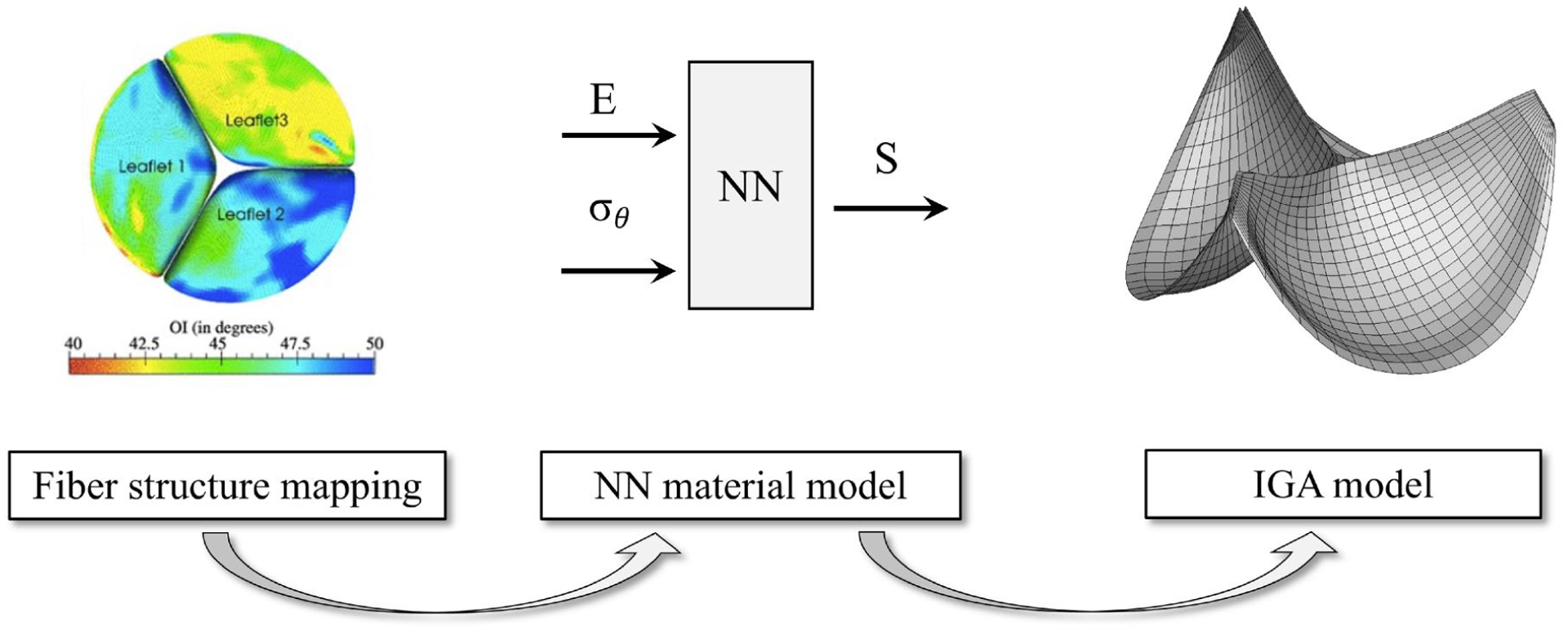 Fig. 1: