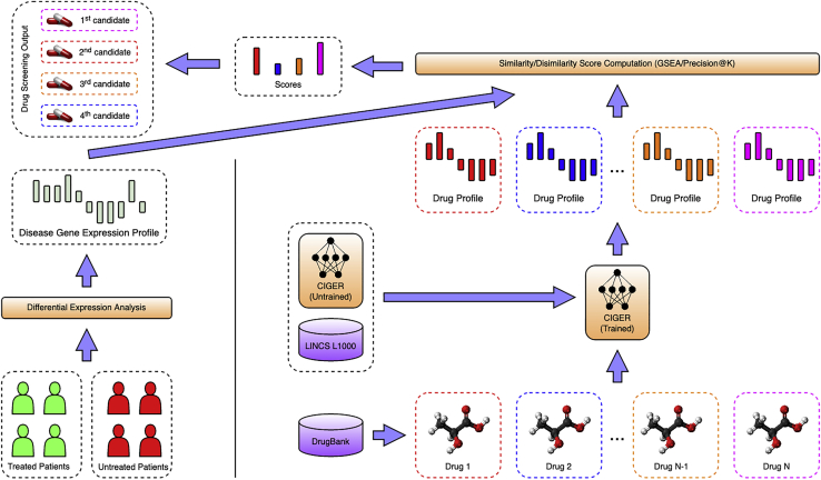 Figure 3