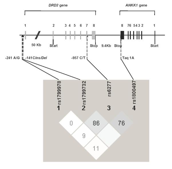 Fig. 1