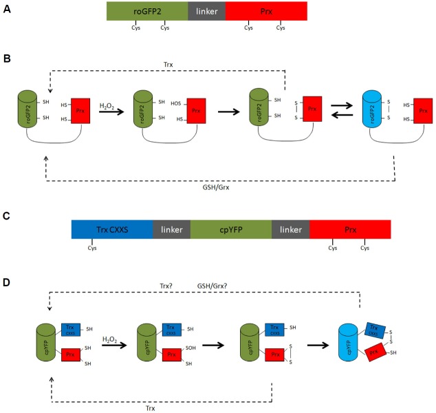 Fig. 2.