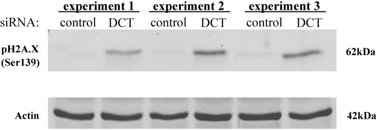 Fig 7