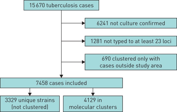 FIGURE 1