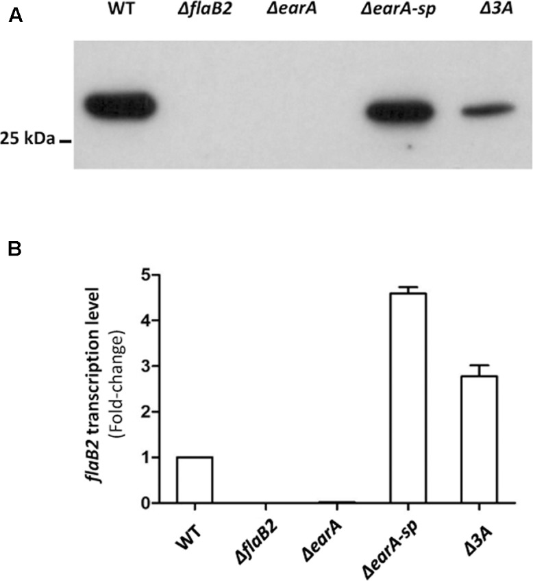 FIGURE 3