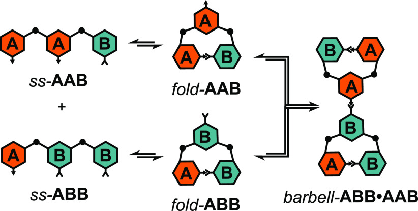 Scheme 5