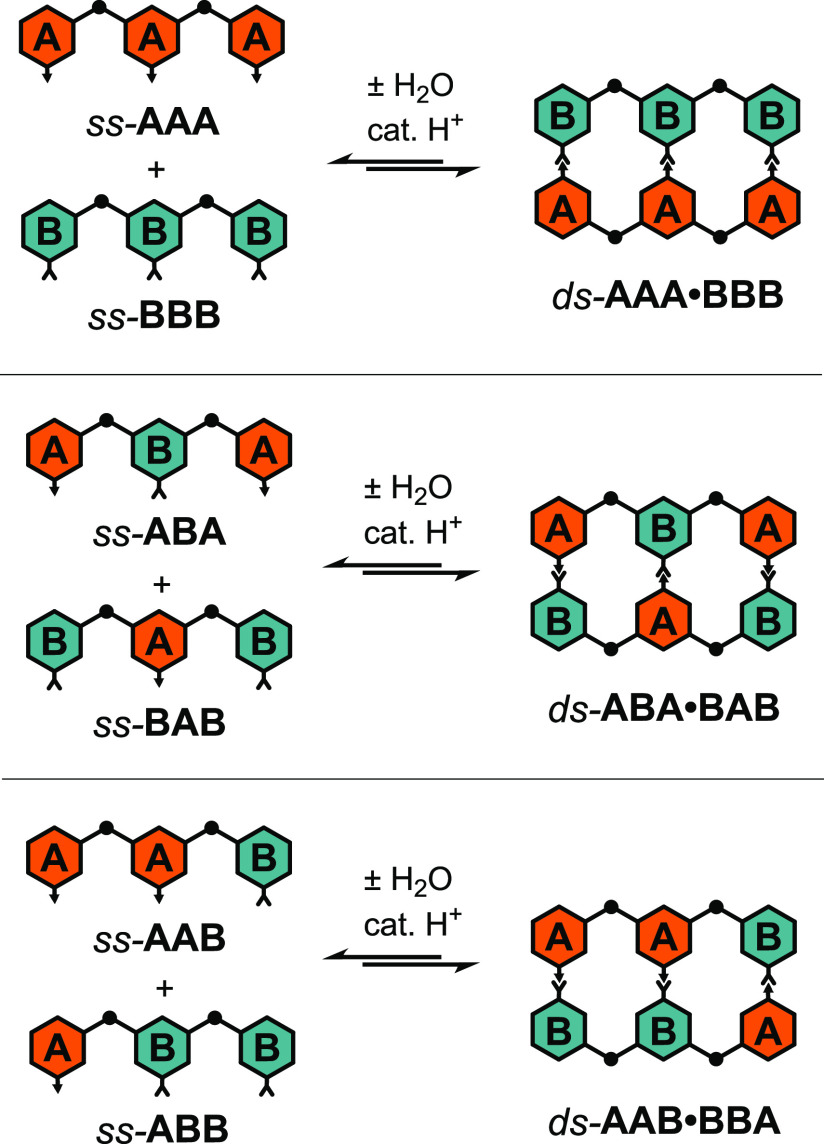 Scheme 4