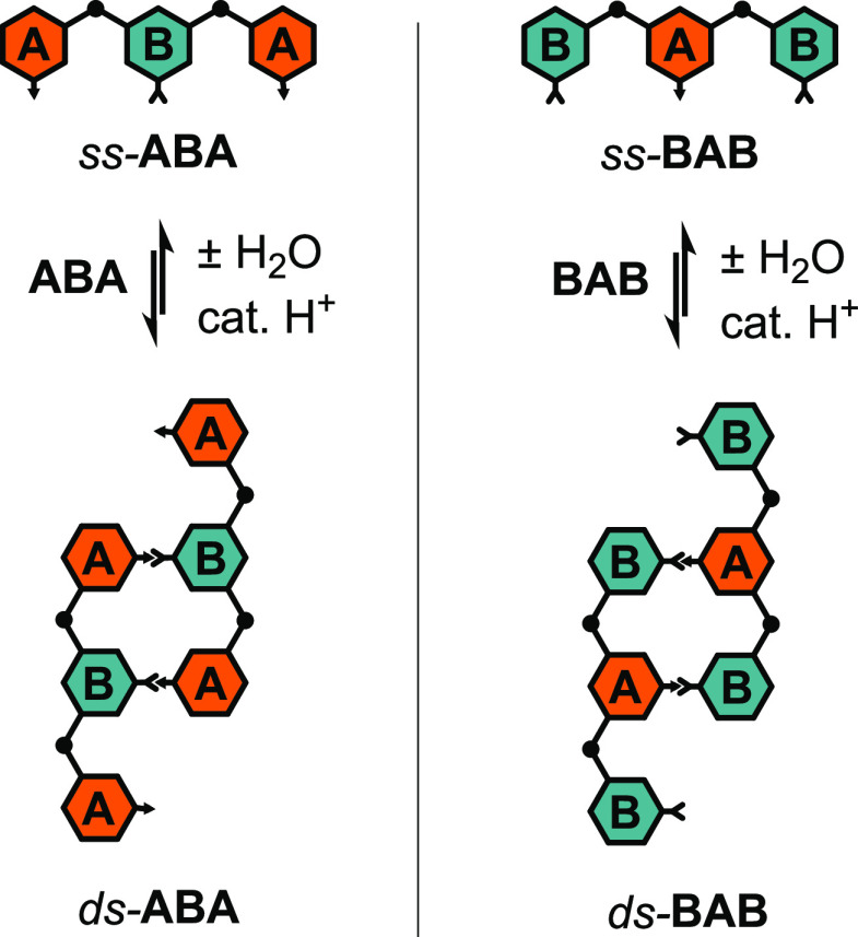 Scheme 2